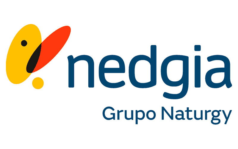 Logotipo de Nedgia